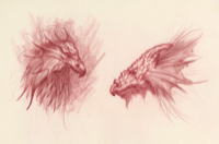 Dragons, Beasts, Creatures 39